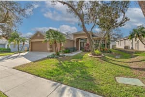 11147 BRIDGECREEK DRIVE, RIVERVIEW, FL 33569 Sold 04/03/25