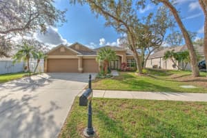 11147 BRIDGECREEK DRIVE, RIVERVIEW, FL 33569 Sold 04/03/25