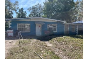 1911 E Noel St, TAMPA