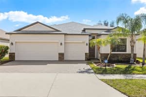 10063 CELTIC ASH DRIVE, RUSKIN, FL 33573 Sold 03/18/25