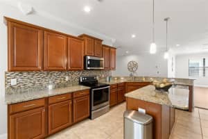 10063 CELTIC ASH DRIVE, RUSKIN, FL 33573 Sold 03/18/25