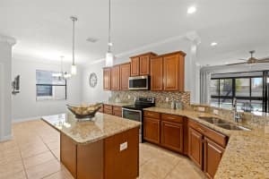 10063 CELTIC ASH DRIVE, RUSKIN, FL 33573 Sold 03/18/25