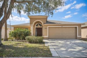 2811 BUTTERFLY LANDING DRIVE, LAND O LAKES, FL 34638 Sold 04/16/25
