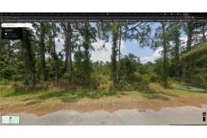 8004 MARIN STREET, SEBRING, FL 33872 - MLS#MFRTB8347231