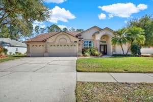 17112 DOWNS DRIVE, ODESSA, FL 33556 Sold 02/28/25