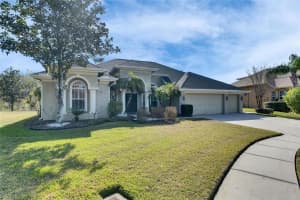 3852 SORREL VINE DRIVE, WESLEY CHAPEL, FL 33544 Sold 03/31/25