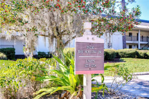 29230 BAY HOLLOW DRIVE, WESLEY CHAPEL, FL 33543 - MLS#MFRTB8347426