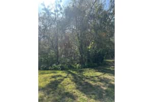 8541 HUNTERS KEY CIRCLE, TAMPA, FL 33647 - MLS#MFRTB8347456