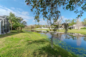 27045 FIREBUSH DRIVE, WESLEY CHAPEL, FL 33544 Sold 06/17/25