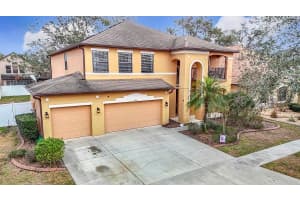 1805 ABBEY TRACE DRIVE, DOVER, FL 33527 Sold 05/15/25