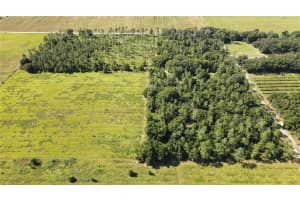 AMBERLEA RD, DADE CITY, FL 33523 - MLS#MFRTB8347571