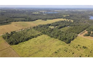 AMBERLEA RD, DADE CITY, FL 33523 - MLS#MFRTB8347571