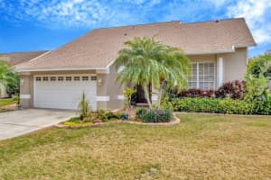6208 FORRESTAL DRIVE, TAMPA, FL 33625 - MLS#MFRTB8347743
