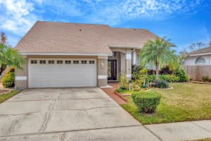 6208 FORRESTAL DRIVE, TAMPA, FL 33625 - MLS#MFRTB8347743