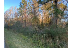 12842 MIDVALE AVENUE, NEW PORT RICHEY, FL 34654 - MLS#MFRTB8347777