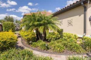 11563 CALLISIA DRIVE, ODESSA, FL 33556 - MLS#MFRTB8347859