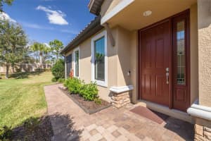 11563 CALLISIA DRIVE, ODESSA, FL 33556 - MLS#MFRTB8347859