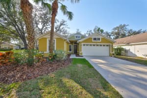 6125 GANNETWOOD PLACE, LITHIA, FL 33547 Sold 03/20/25