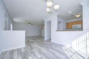1717 FLUORSHIRE DRIVE, BRANDON, FL 33511 Sold 02/28/25