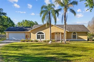 7213 JONES ROAD, ODESSA, FL 33556 - MLS#MFRTB8347969