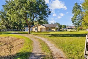 7213 JONES ROAD, ODESSA, FL 33556 - MLS#MFRTB8347969