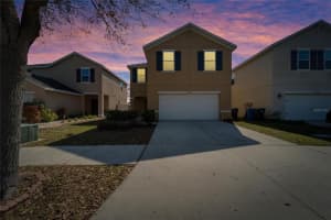12239 FAWN BRINDLE STREET, RIVERVIEW, FL 33578 Sold 06/30/25