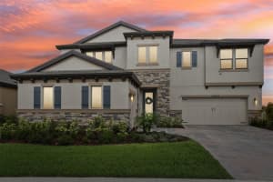 12829 Tortoise Shell Pl, RIVERVIEW