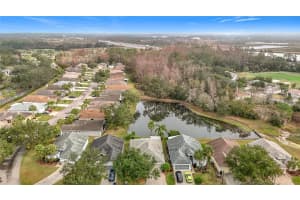 29523 WAGGLE DRIVE, SAN ANTONIO, FL 33576 - MLS#MFRTB8348137