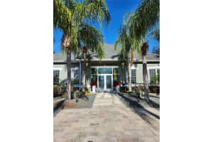 3673 KINGS ROAD, PALM HARBOR, FL 34685 - MLS#MFRTB8348167