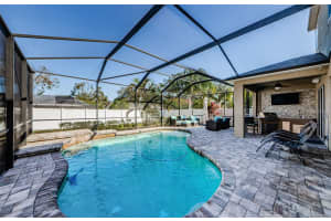 13452 CANOPY CREEK DRIVE, TAMPA, FL 33625 Sold 03/31/25
