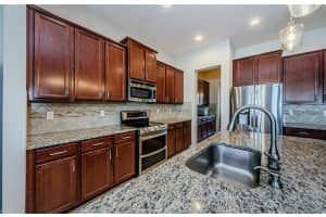 13452 CANOPY CREEK DRIVE, TAMPA, FL 33625 Sold 03/31/25