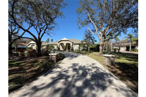 8503 KENTUCKY DERBY DRIVE, ODESSA, FL 33556 - MLS#MFRTB8348215
