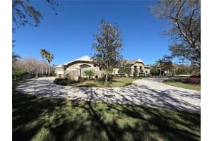 8503 KENTUCKY DERBY DRIVE, ODESSA, FL 33556 - MLS#MFRTB8348215