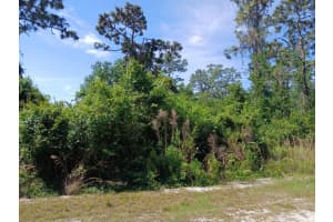 2810 IXORA DRIVE, INDIAN LAKE ESTATES, FL 33855 - MLS#MFRTB8348220
