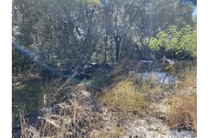 1203 VERNON LANE, KISSIMMEE, FL 34759 - MLS#MFRTB8348277