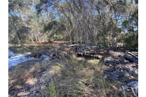 1203 VERNON LANE, KISSIMMEE, FL 34759 - MLS#MFRTB8348277