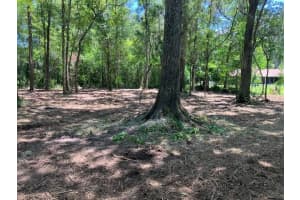 GRIFFIN RD, BROOKSVILLE, FL 34601 - MLS#MFRTB8348305
