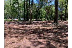 GRIFFIN RD, BROOKSVILLE, FL 34601 - MLS#MFRTB8348305