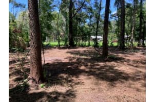 GRIFFIN RD, BROOKSVILLE, FL 34601 - MLS#MFRTB8348305