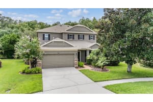 19308 SUNSET BAY DRIVE, LAND O LAKES, FL 34638 Sold 07/21/25