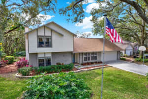 3030 AVALON TERRACE DRIVE, VALRICO, FL 33596 Sold 03/25/25