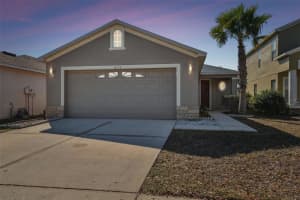 8133 Canterbury Lake Blvd, TAMPA