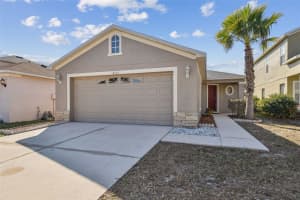 8133 CANTERBURY LAKE BOULEVARD, TAMPA, FL 33619 - MLS#MFRTB8348470