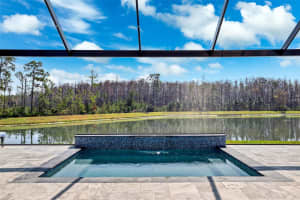 11650 RANCHERS GAP DRIVE, ODESSA, FL 33556 Sold 03/31/25