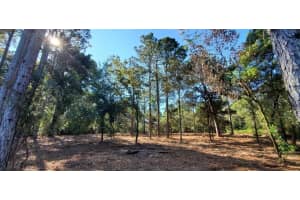 SW 82ND LANE, OCALA, FL 34471 Sold 04/30/25
