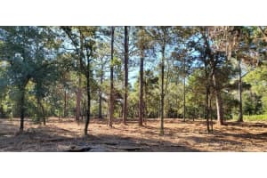 SW 82ND LANE, OCALA, FL 34471 Sold 04/30/25