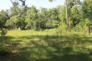 6034 LAKESIDE DRIVE, LUTZ, FL 33558 Sold 02/20/26