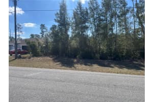SW 165TH ST, OCALA, FL 34473 Sold 05/05/25