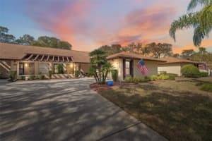 3511 NIBLICK COURT, NEW PORT RICHEY, FL 34655 Sold 04/30/25