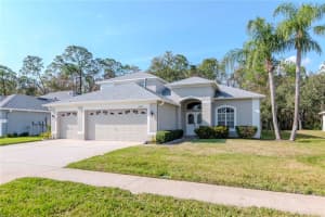 12545 LEATHERLEAF DRIVE, TAMPA, FL 33626 Sold 05/16/25